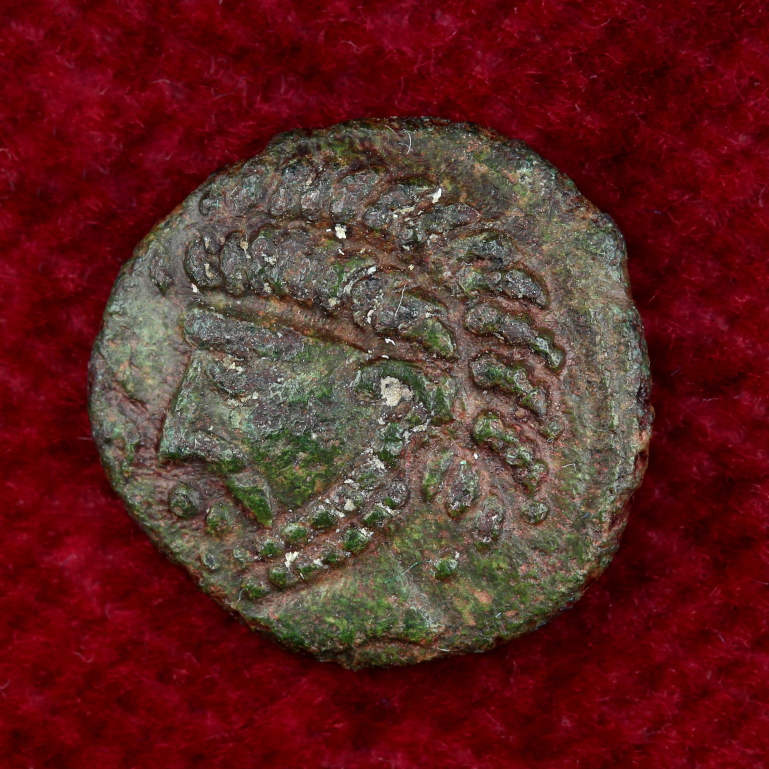 Catuvellauni Tasciovanus 25BC-10AD Goat Bronze Half Unit, Rare ...